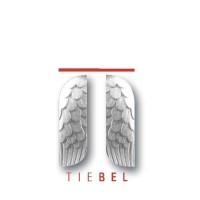 Tiebel Consulting Limited
