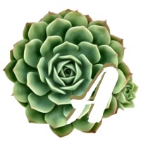 A Garden Inc. logo - Similar company to Kaykayoglu Innovation Group