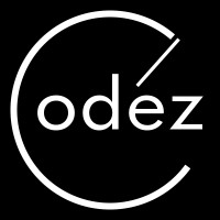 Codezy logo - Similar company to Lightcollector