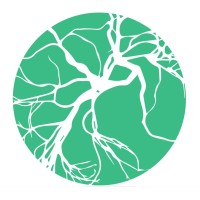 Shira MedTech logo - Similar company to Lymbedge