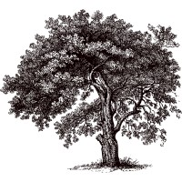 The Thomas Manor logo - Similar company to Smart Proc Govcon