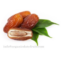 Organic Date Fruit logo - Similar company to Date Dates Fruit