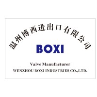 Wenzhou Boxi Industries Co., Ltd. logo - Similar company to Sny Valve (Yancheng) Co., Ltd.
