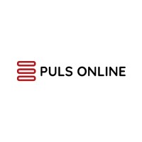 Puls Online logo - Similar company to Radio Mors