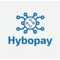 Hybopay Inc logo - Similar company to Skill Beyond Boundaries Ltd