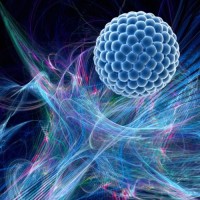 Sociedad Chilena de Nanotecnología logo - Similar company to Sociedad Chilena De Psicología Del Deporte (Psidep Chile)