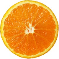 Oj Wwep