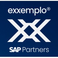 EXXEMPLO TI logo - Similar company to Deploy Br Tecnologia