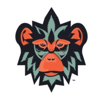 Monko logo - Similar company to Snacktime Brands