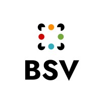BSV Ventures logo - Similar company to Lanmer