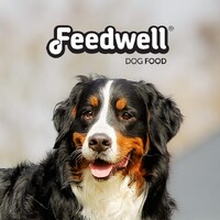 Feedwell Dog Food logo - Similar company to Alex'S Low-Acid Organic Coffee