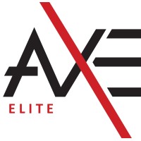 AXE Elite a Vaultek Company logo - Similar company to Vaultek Systems