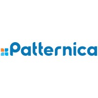 Patternica logo - Similar company to Phynixoft