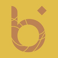 Budhi Care logo - Similar company to Mind Station | Human Development