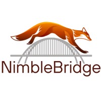NimbleBridge, COO as a Service - facilitating controlled investment - fostering sustainable growth logo - Similar company to Marsham Edge
