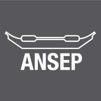 ANSEP logo - Similar company to Doyon Foundation