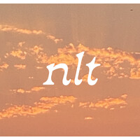 NLT logo - Similar company to Nlt Electrical Ltd