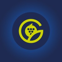 Gesex logo - Similar company to Gsp-Chile