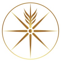 P3 Network logo - Similar company to Us - Economic Bridge Initiative