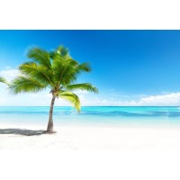 Riverdrive Media Group B.V. logo - Similar company to Ptt Post B.V.