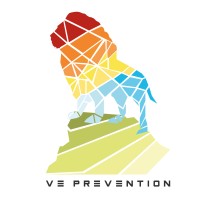 VAILLANT PRÉVENTION logo - Similar company to Groupe Ns