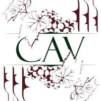 CAV - Mines Paris logo - Similar company to Tealk