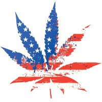 WeedStores.US logo - Similar company to Pacific Dutch Group