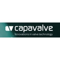 Capa Valve Ltd logo - Similar company to Built To Endure
