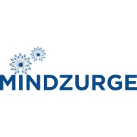 Mindzurge logo - Similar company to Kalkai