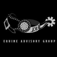 Equine Advisory Group logo - Similar company to Second Stride Inc.