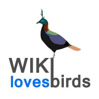 Wiki Loves Birds logo - Similar company to Wiki Loves Folklore