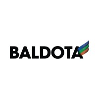 Baldota Group logo - Similar company to Boldata Technology