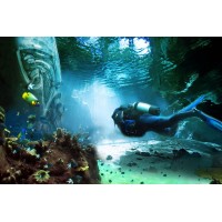 Reef Worlds logo - Similar company to Steady Now Productions