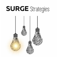 Surge Strategies Group logo - Similar company to Summit Rail Advisors
