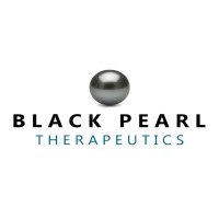 Black Pearl Therapeutics SA logo - Similar company to Immuno-Oncology.Io