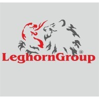 LeghornGroup España logo - Similar company to Leghorngroup