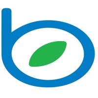 brightworld.ai logo - Similar company to Mindkoro