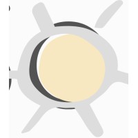 Solshine Wellness Group logo - Similar company to Synchronicity Health