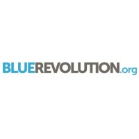 Blue Revolution Foundation logo - Similar company to Seaborne Communications Ltd