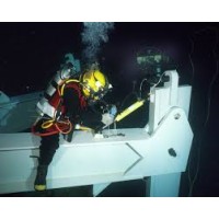 NigerDive Limited logo - Similar company to Rite Divers Network Limited