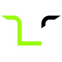 MODERN LION logo - Similar company to 백곰
