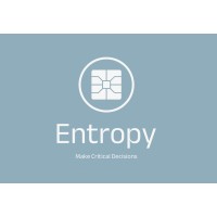 Entropy Semiconductor Consulting logo - Similar company to Cleo Digital