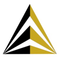 Boutique CIO logo - Similar company to Inspira Foundation