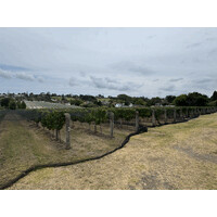 Fino Valley Wines New Zealand logo - Similar company to Biosistemi S.R.L.