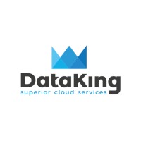 Data King logo - Similar company to Data Mining Lab