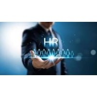 V4U HR Solutions logo - Similar company to Vel Systems