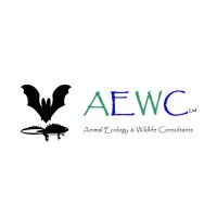 AEWC Limited logo - Similar company to Aewc Limited