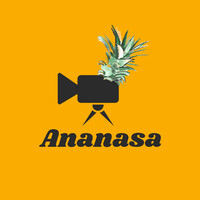 Ananasa Production logo - Similar company to Pound Pain Tech