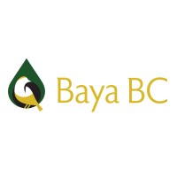 Baya BC Ltd logo - Similar company to Acl Group Ltd