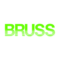 BRUSS DURANGO logo - Similar company to Cmi Durango